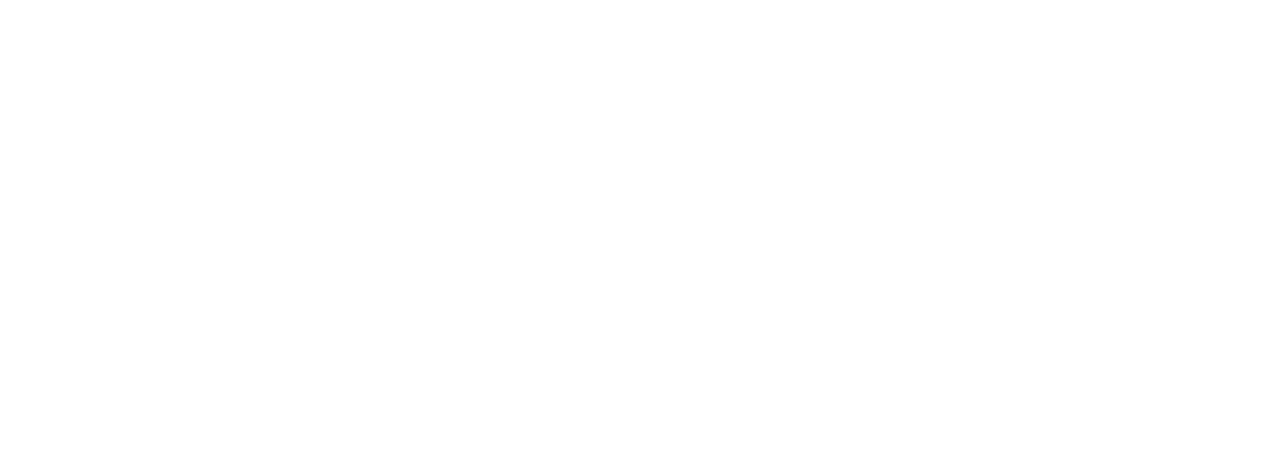 Logo Agencia Módulo